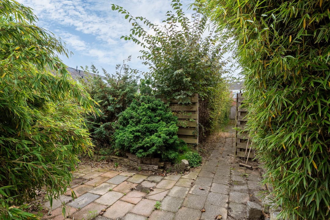 Foto 16 van Paterstrjitte 5