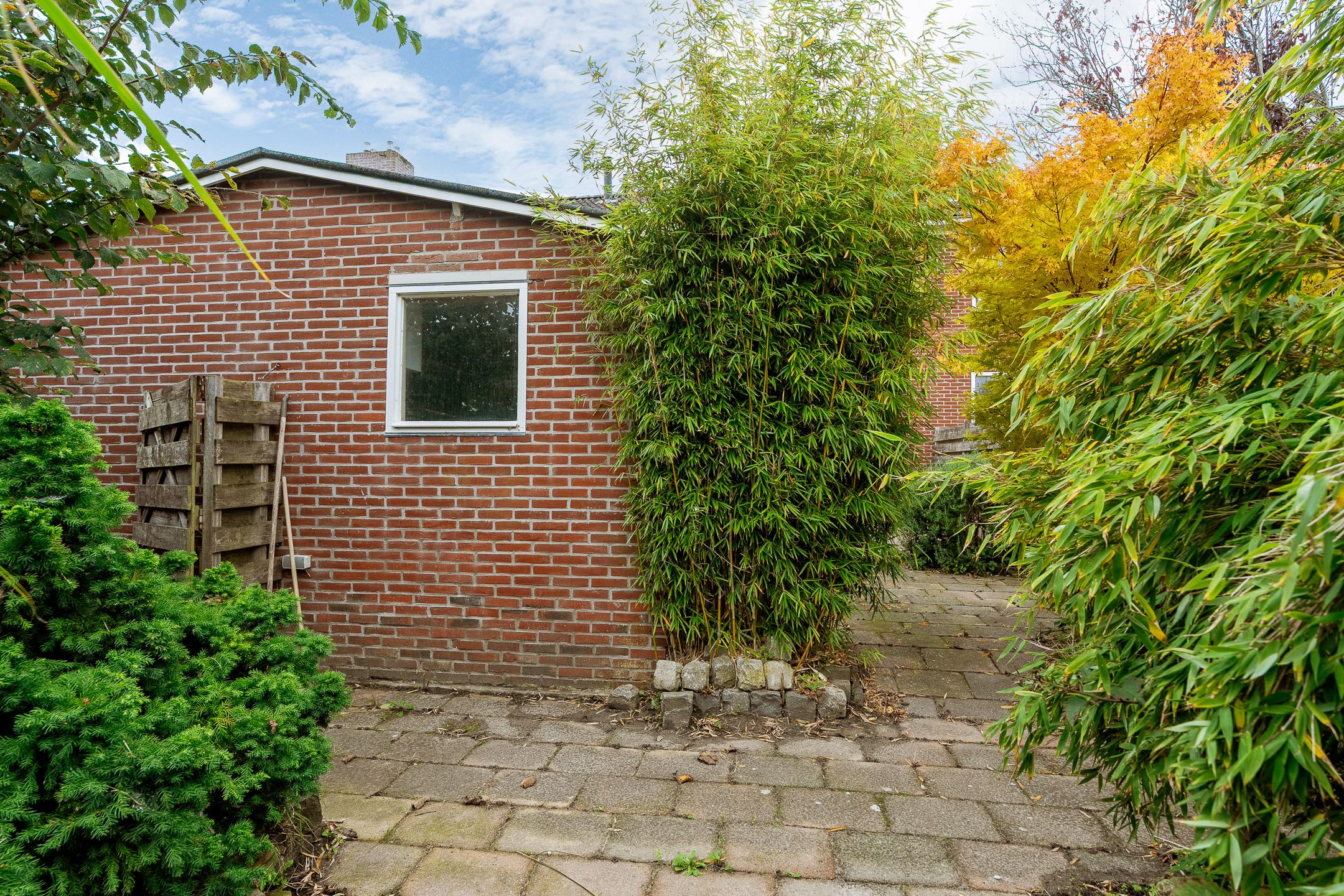 Foto 15 van Paterstrjitte 5