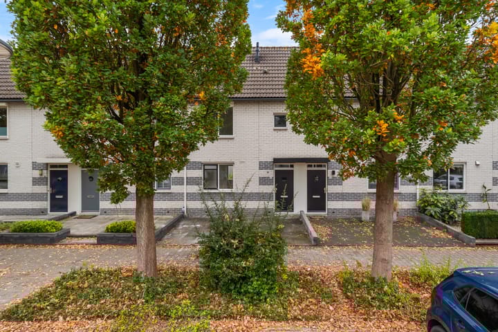 Foto 33 van Dr. A. Vondelingstraat 9