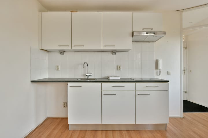 Foto 16 van Ben Viljoenstraat 2-F