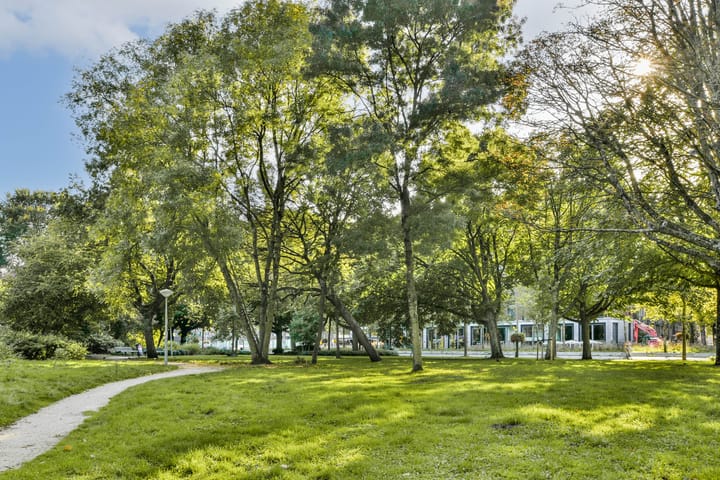 Foto 34 van Ben Viljoenstraat 2-F