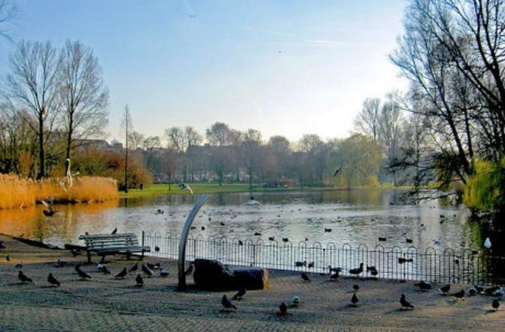 Foto 36 van Ben Viljoenstraat 2-F