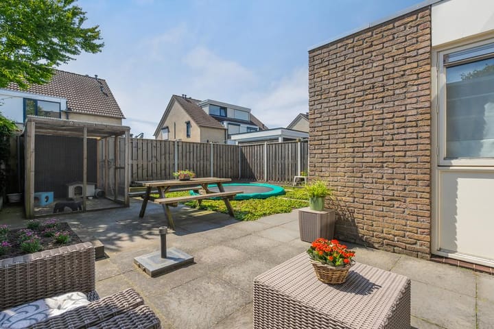 Foto 2 van Anemoon 3