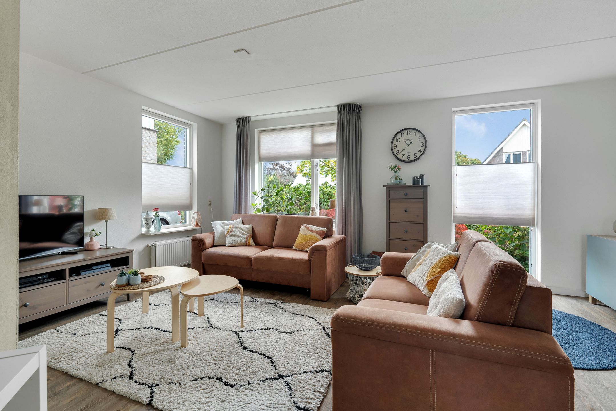 Foto 3 van Anemoon 3