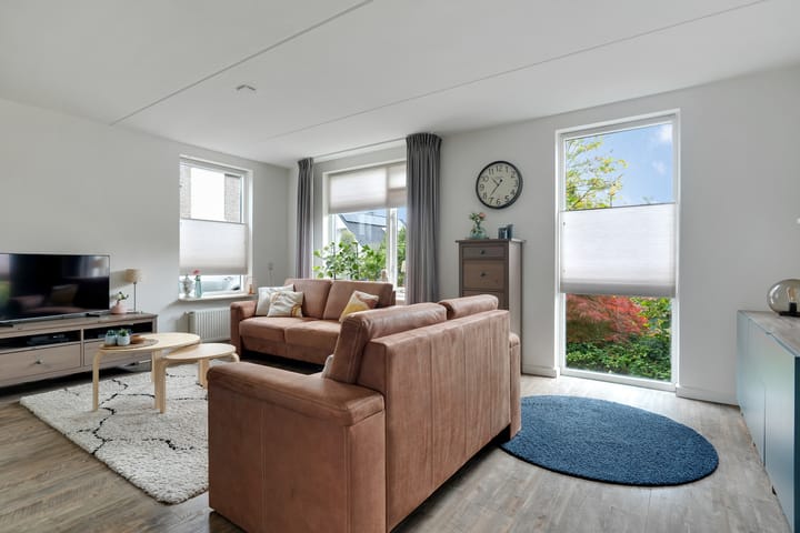 Foto 5 van Anemoon 3