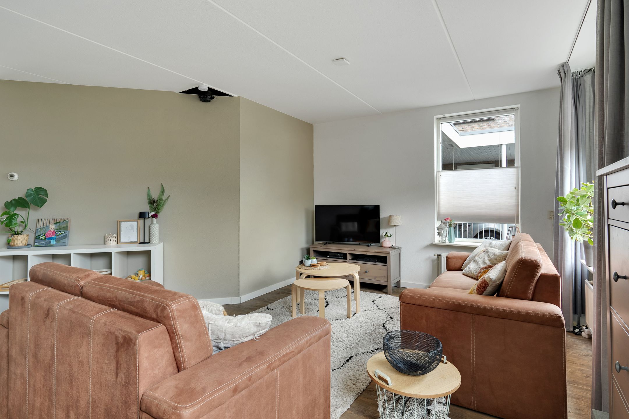 Foto 6 van Anemoon 3