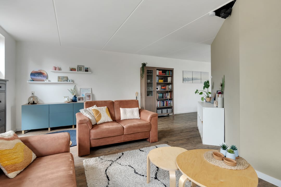 Foto 7 van Anemoon 3