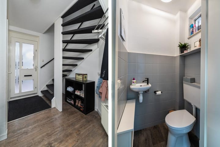 Foto 13 van Anemoon 3