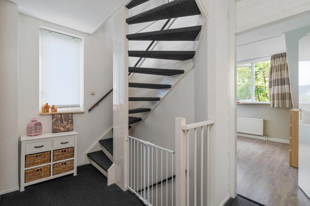 Foto 14 van Anemoon 3