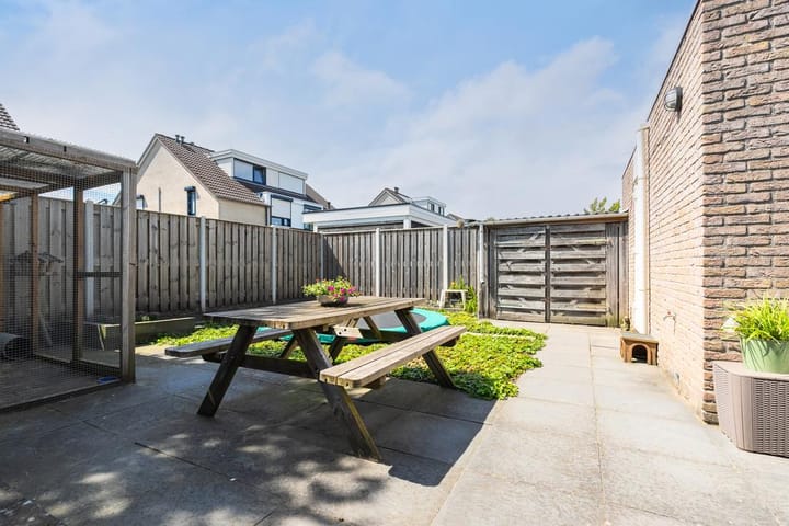 Foto 26 van Anemoon 3