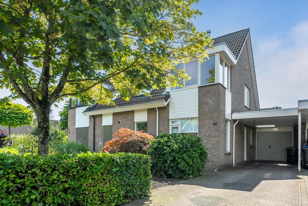 Foto 28 van Anemoon 3