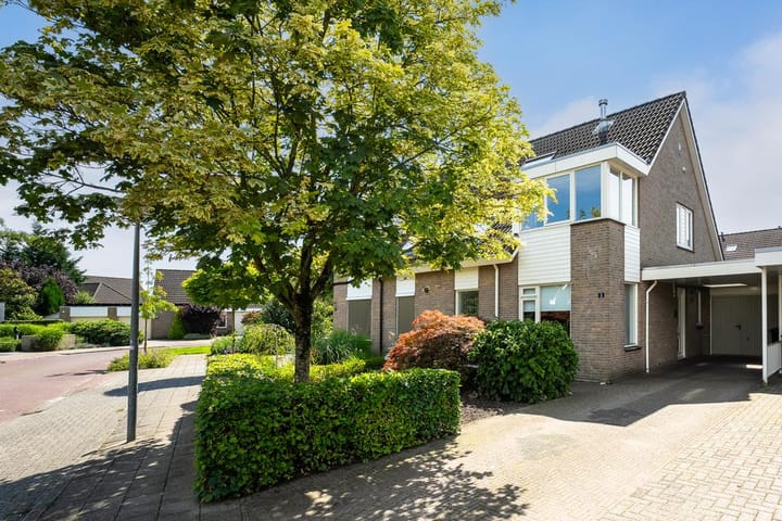 Foto 29 van Anemoon 3