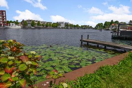 Piet Heinlaan 28 secondary image