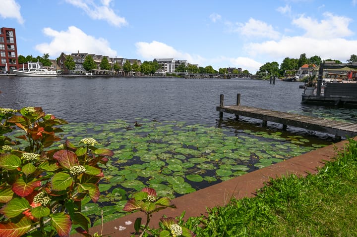 Photo 2 of Piet Heinlaan 28