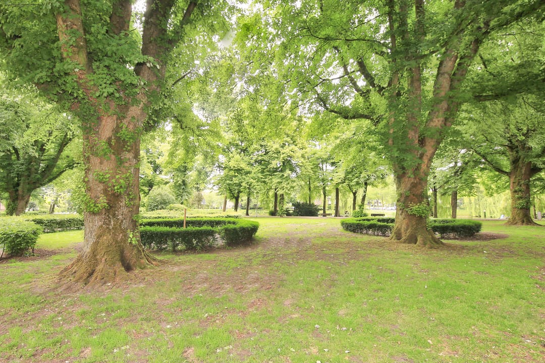 Foto 28 van Geuzenstraat 74-1