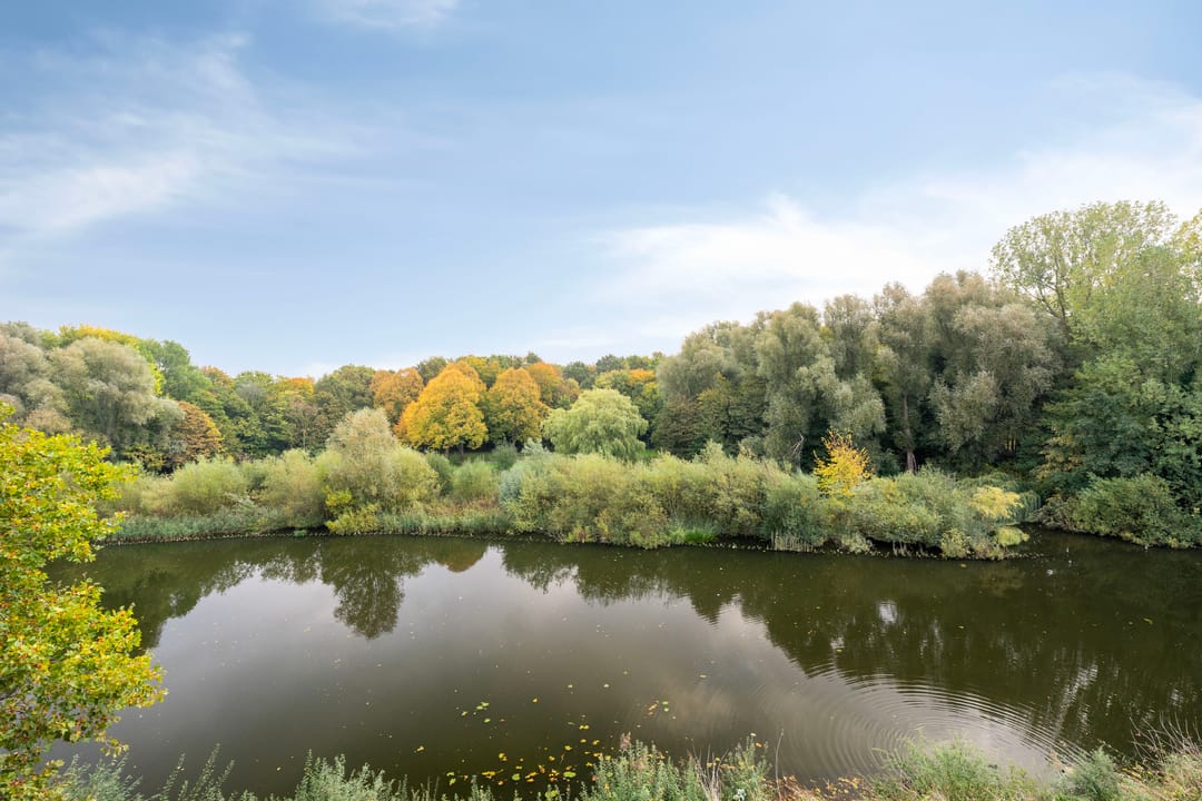 Foto 17 van Oeverpad 401