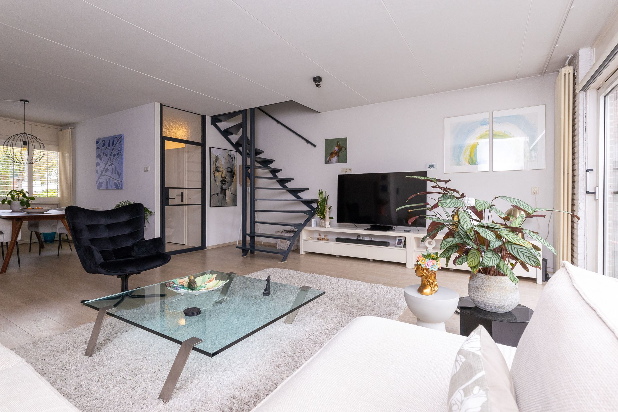 Foto 12 van Mandrill 51