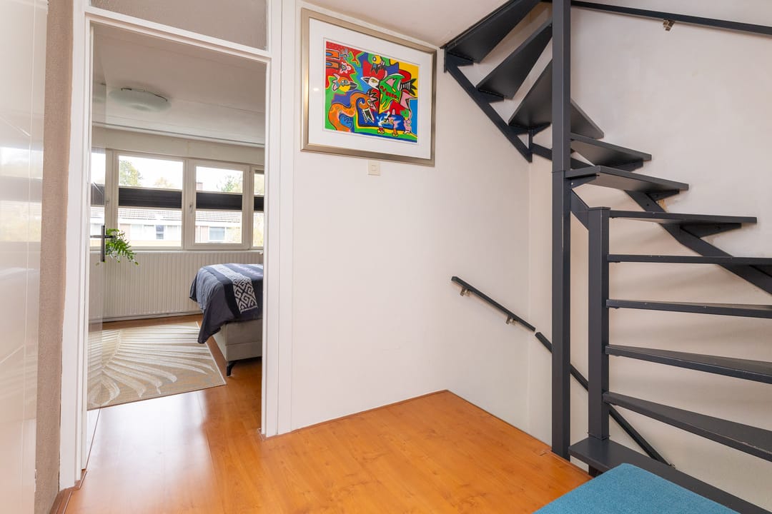 Foto 17 van Mandrill 51