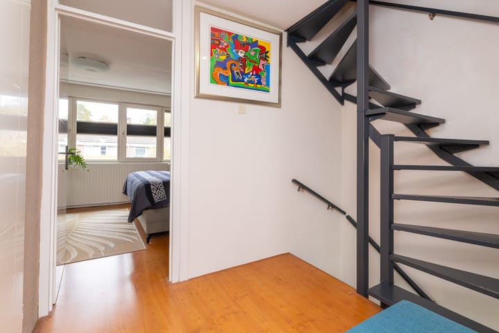 Foto 17 van Mandrill 51