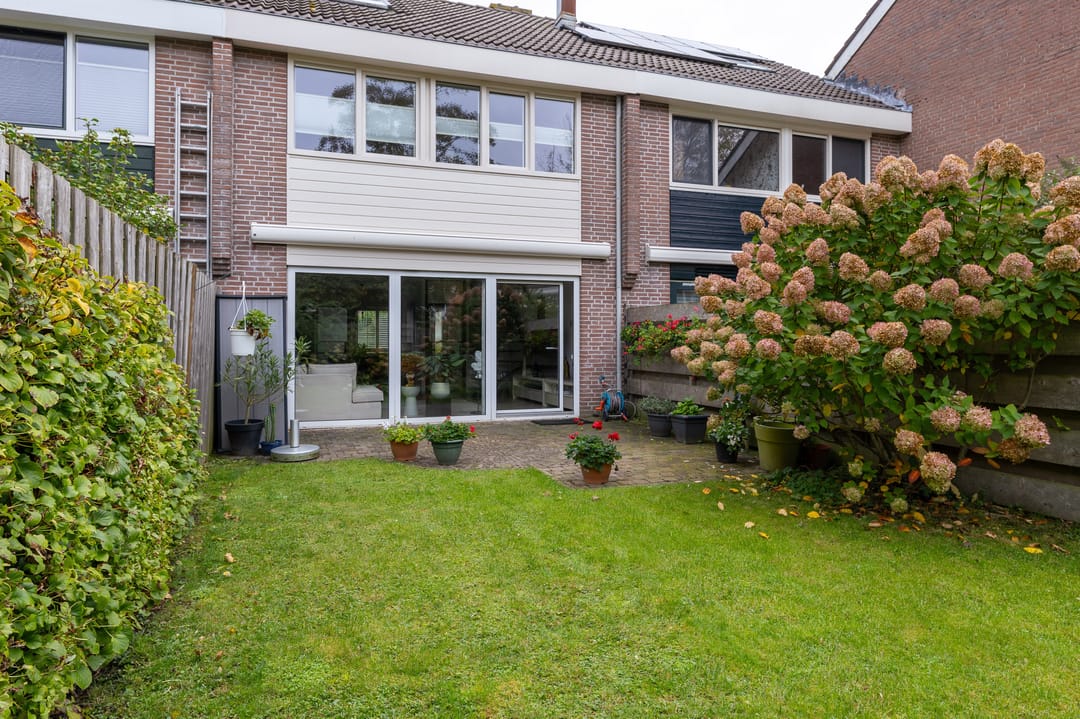 Foto 31 van Mandrill 51