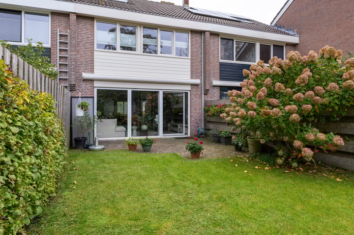 Foto 31 van Mandrill 51