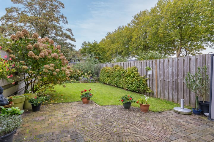 Foto 32 van Mandrill 51