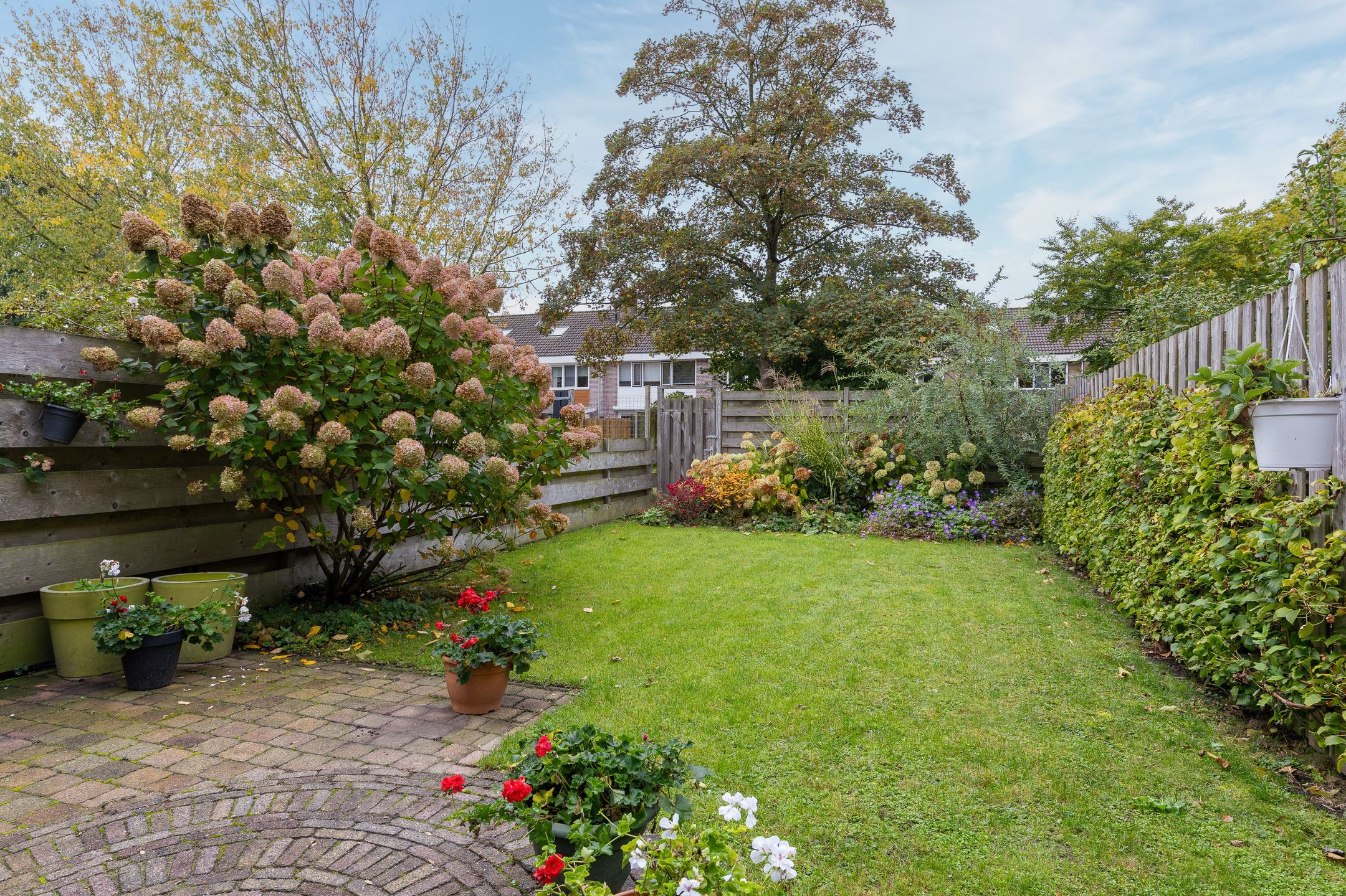 Foto 33 van Mandrill 51