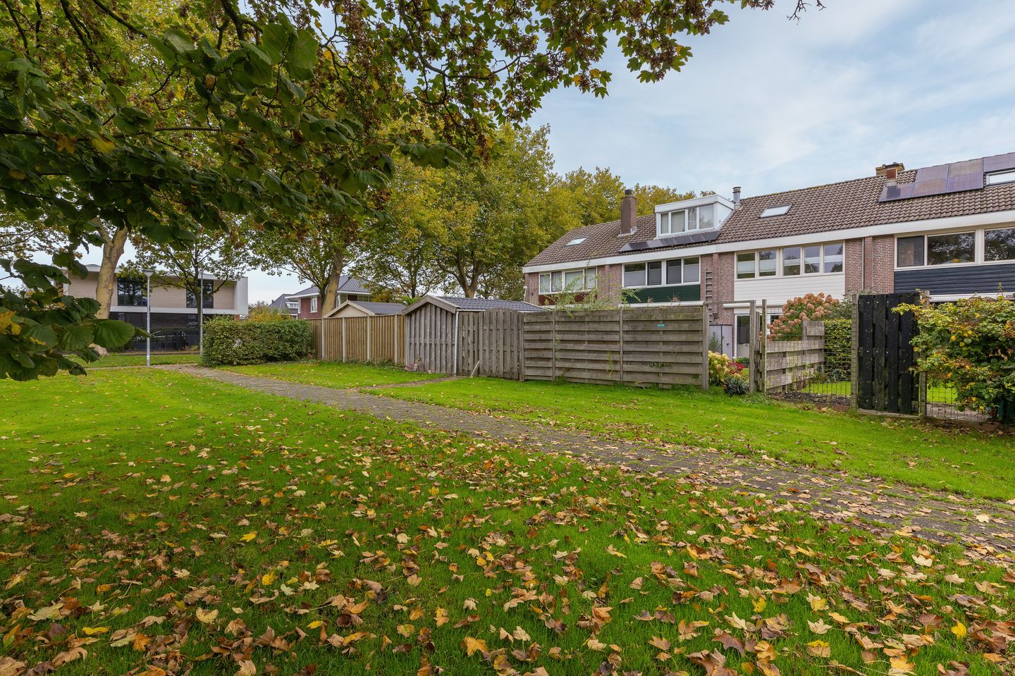 Foto 34 van Mandrill 51