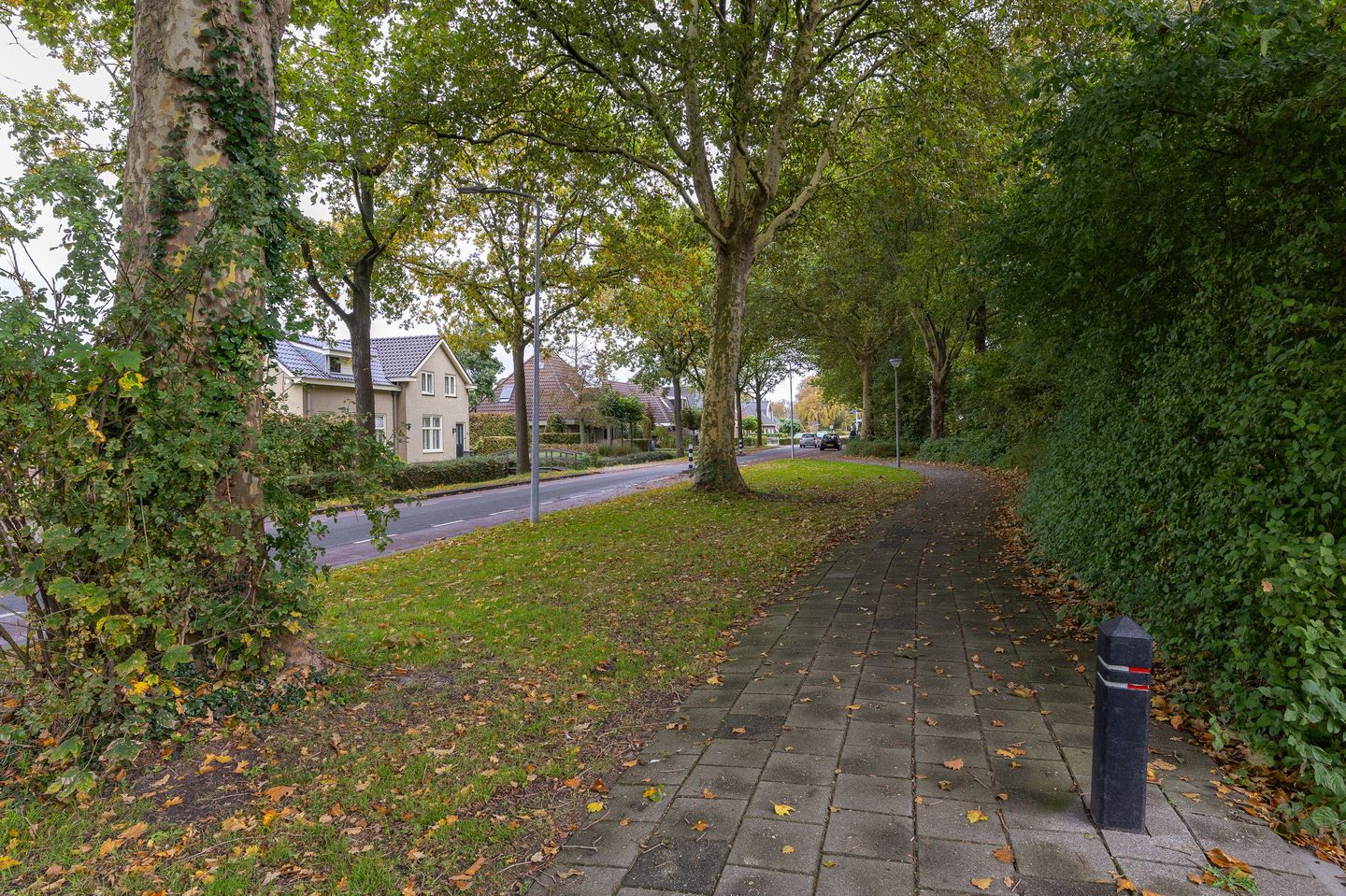 Foto 35 van Mandrill 51