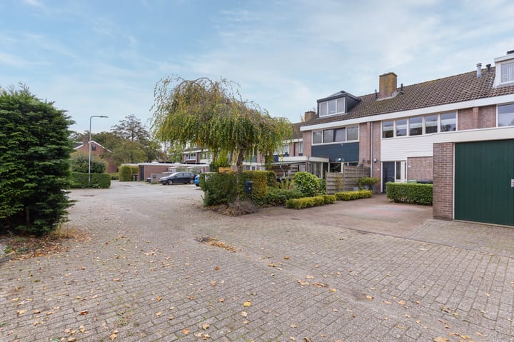 Foto 36 van Mandrill 51