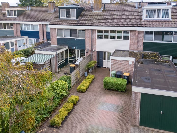 Foto 37 van Mandrill 51