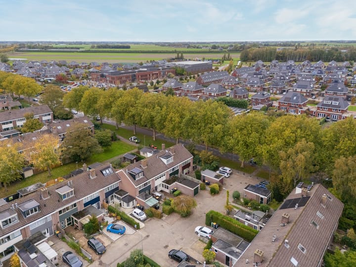 Foto 39 van Mandrill 51