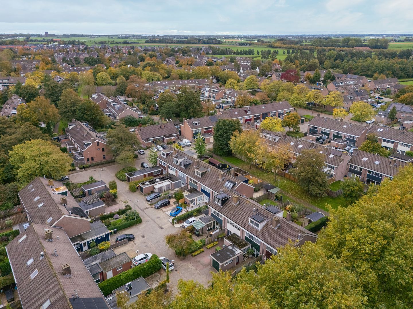 Foto 40 van Mandrill 51