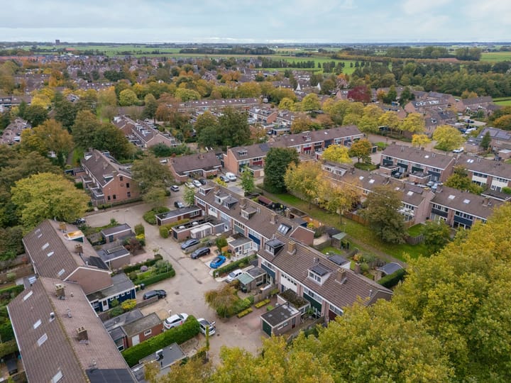 Foto 40 van Mandrill 51