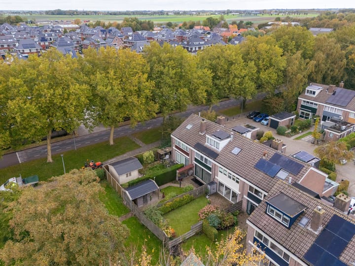 Foto 41 van Mandrill 51