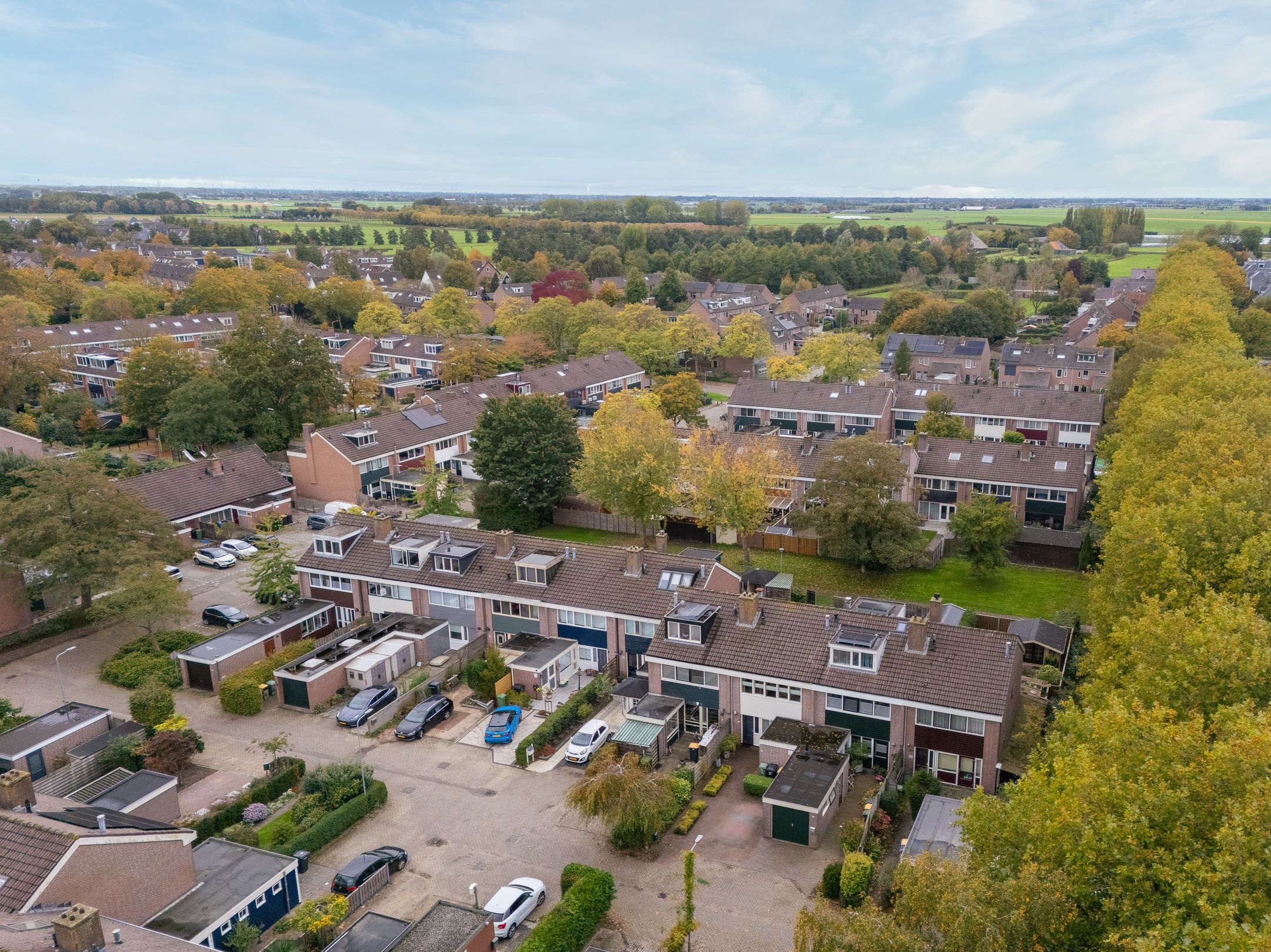 Foto 42 van Mandrill 51