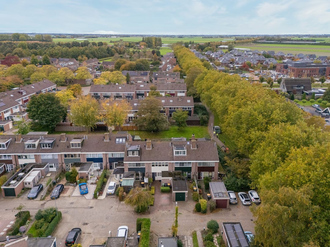 Foto 43 van Mandrill 51