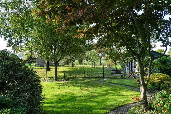 Foto 31 van Groenestraat 6