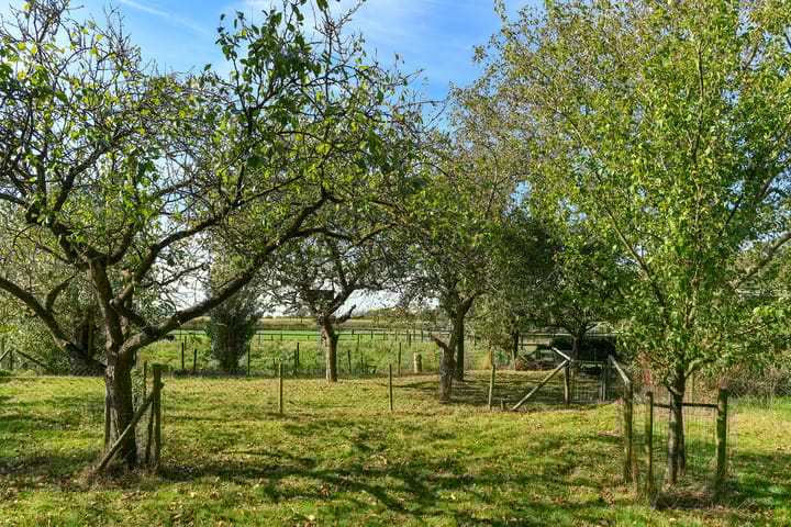 Foto 34 van Groenestraat 6