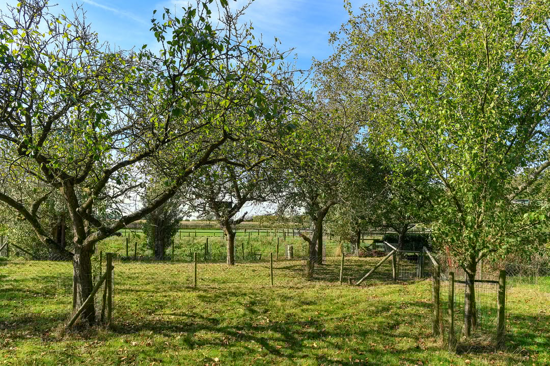 Photo 37 of Groenestraat 6