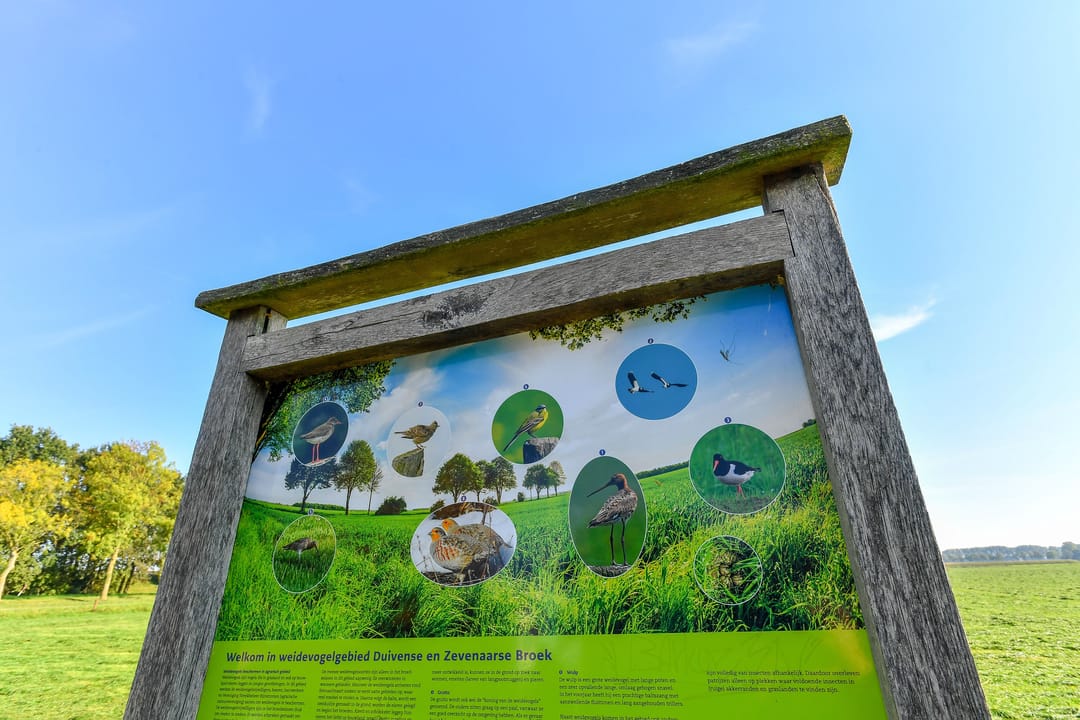 Photo 43 of Groenestraat 6