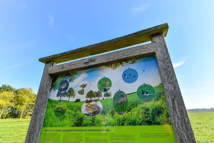 Foto 43 van Groenestraat 6