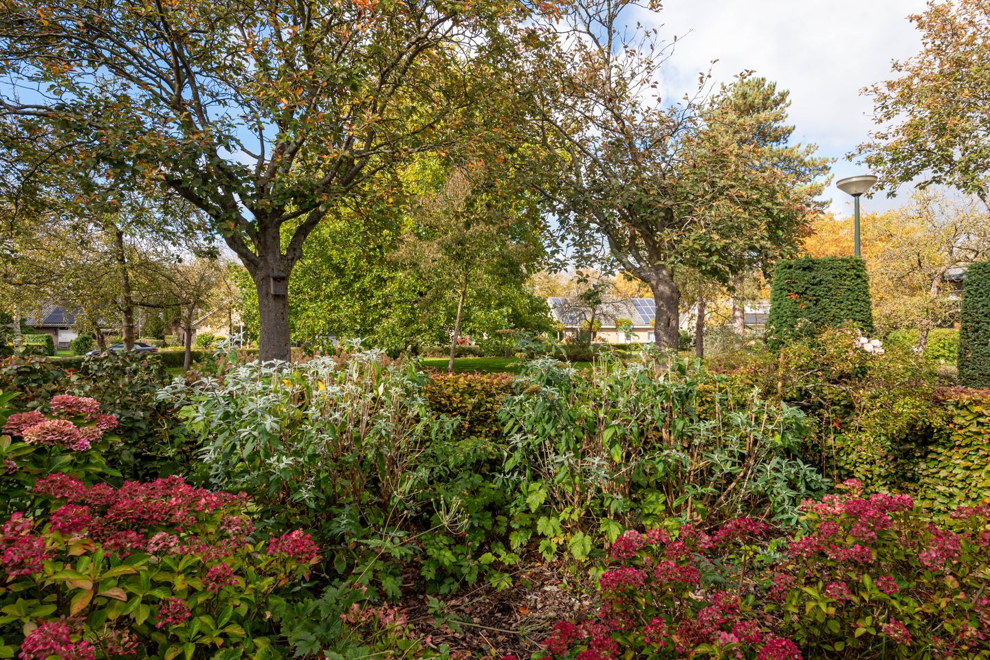 Foto 40 van De Blomhof 14