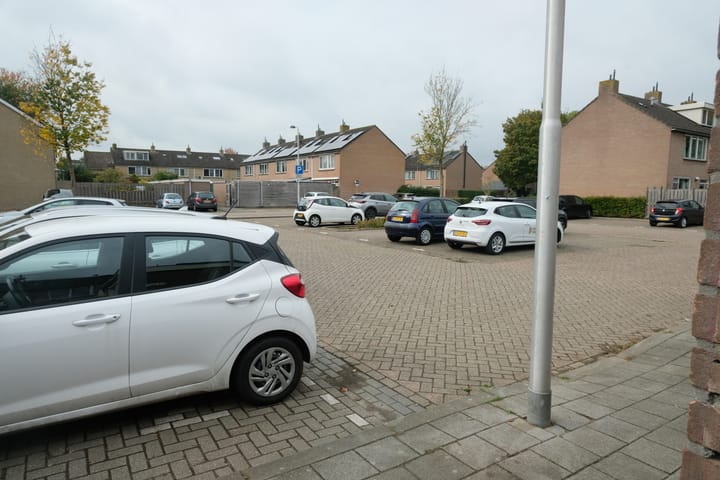 Foto 14 van Korenbloem 58