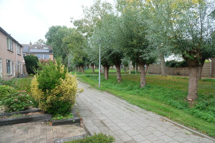 Foto 15 van Korenbloem 58