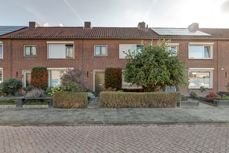 undefined main image