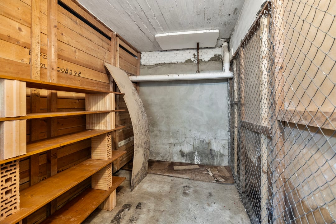 Foto 22 van Dries 56