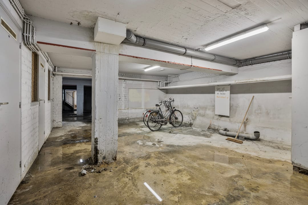 Foto 23 van Dries 56