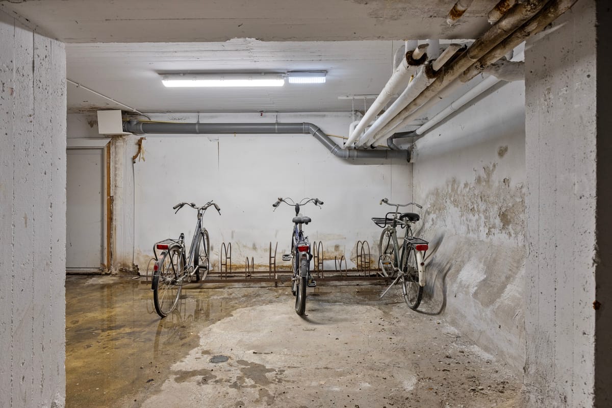 Foto 25 van Dries 56