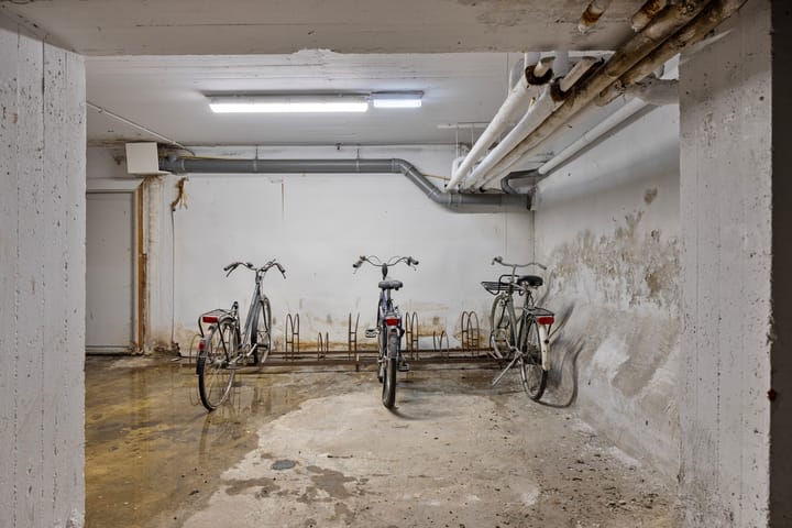 Foto 25 van Dries 56